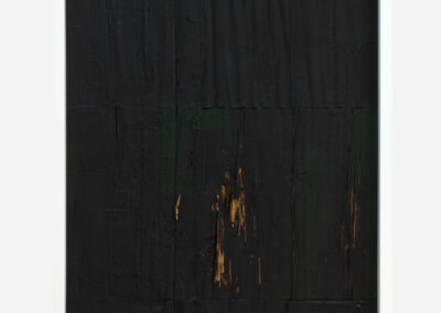 Courtesy of the artist Rainer Nöbauer-Kammerer. Photo Martin Bilinovac (19)