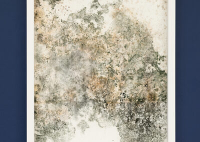 Courtesy of the artist Rainer Nöbauer-Kammerer. Photo Martin Bilinovac (22)